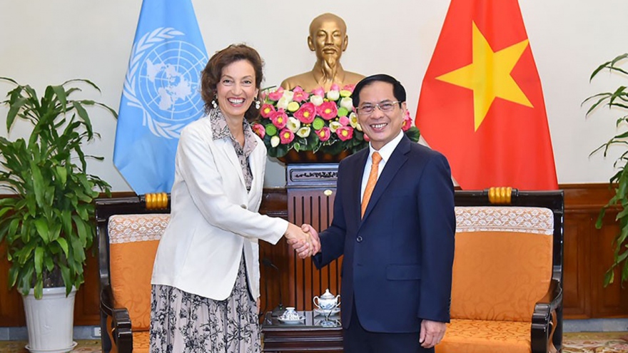 Vietnam looks to UNESCO’s support for World Heritage Committee candidacy: FM